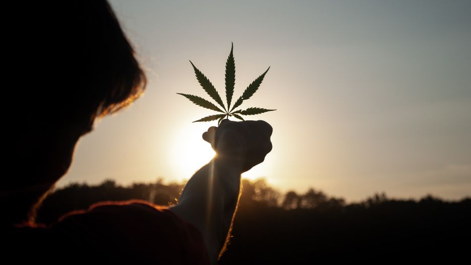 A Cannabis High, No Plant Required