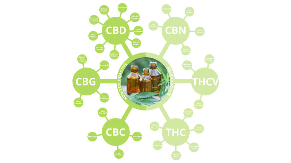 Cannabinoid Fermentation Report